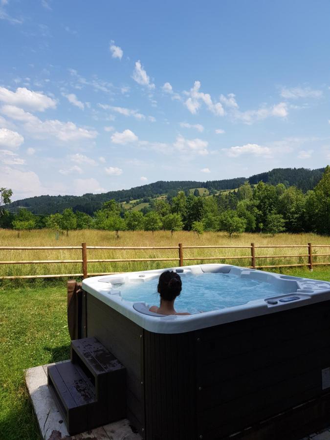 Holiday home Hrozenka Wellness Novy Hrozenkov